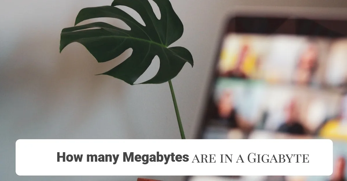 How many Megabytes are in a Gigabyte