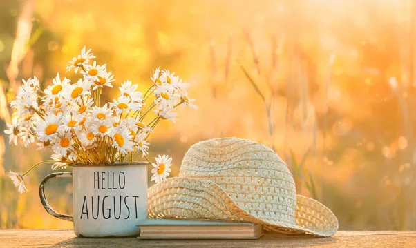 Stunning Quotes About August that You’ve Never Heard Of