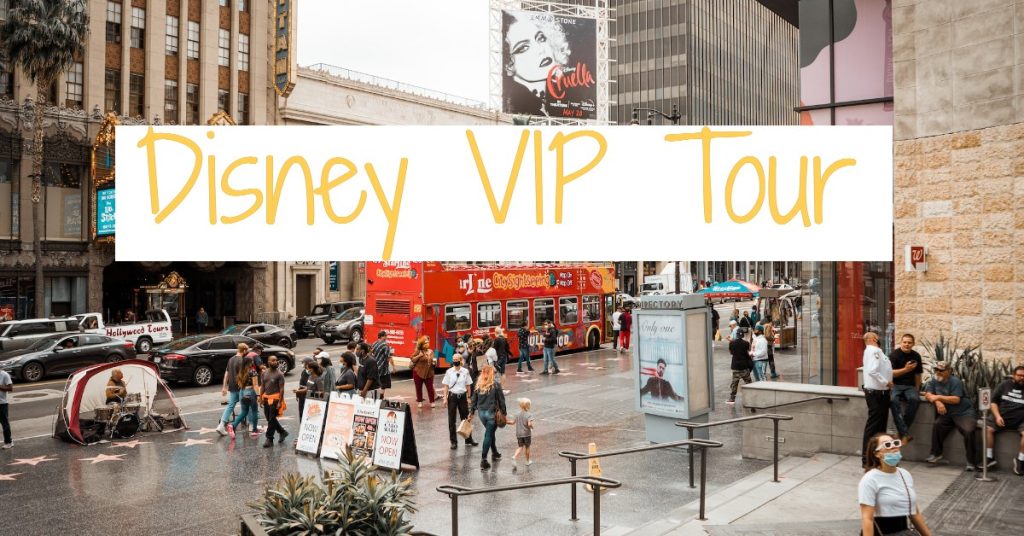 Disney VIP Tour