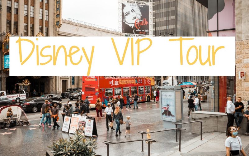 Disney VIP Tour