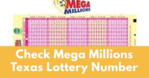 How to Check Your Mega Millions Lottery Numbers
