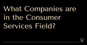 What Companies are in the Consumer Services Field